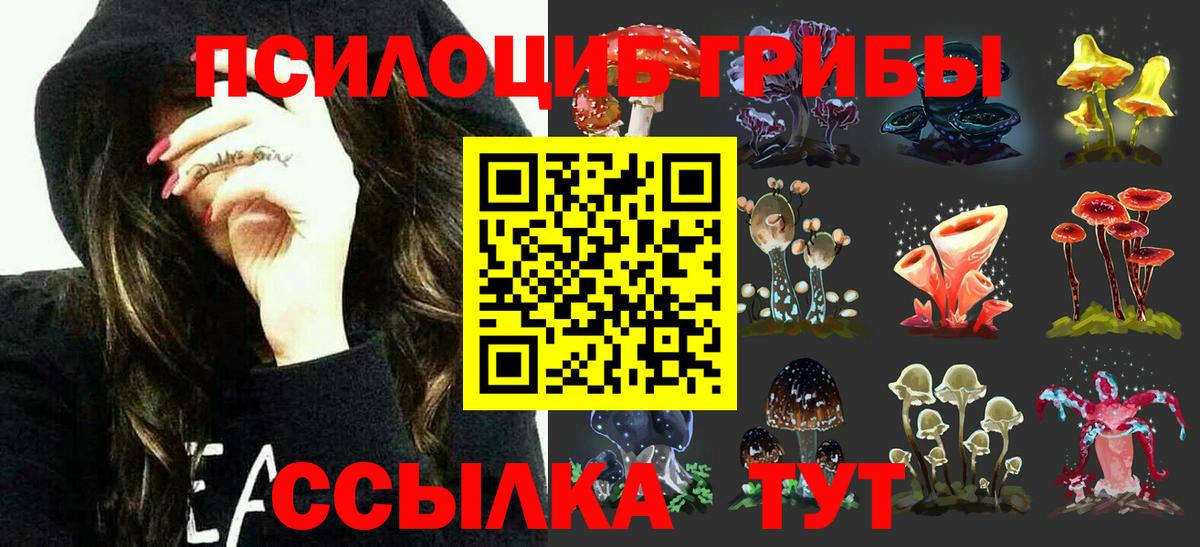 Псилоцибиновые грибы GOLDEN TEACHER Куйбышев